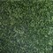 11 sq ft Green Large Boxwood Leaves 11UV Protected Wall Backdrop Panels Wedding